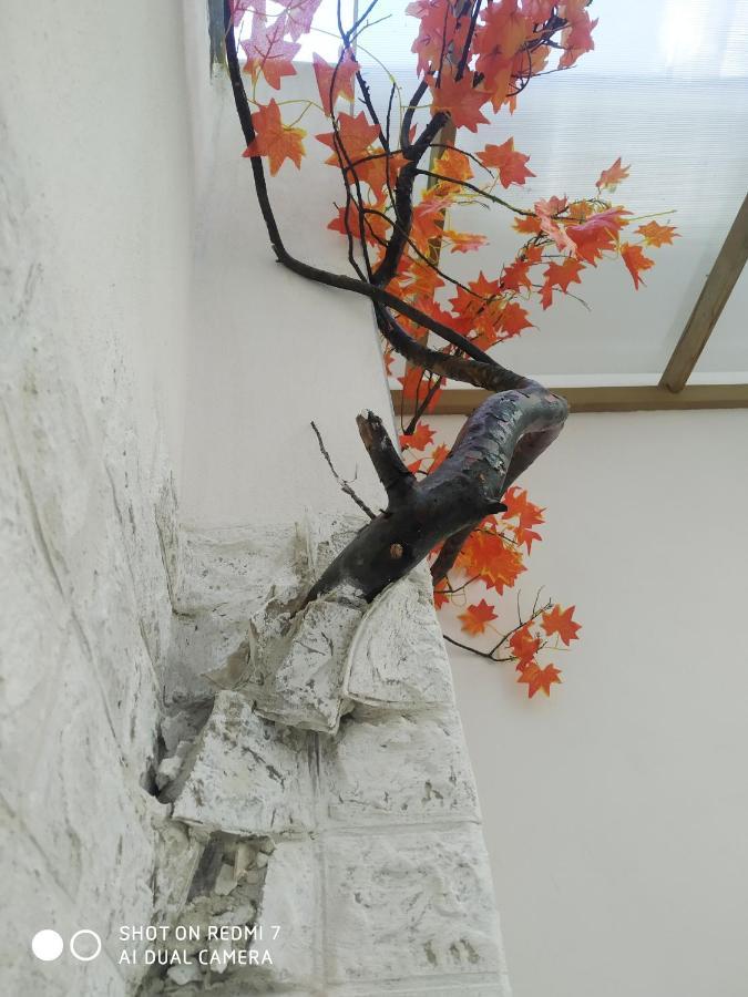 Aurisa Apartment บารี ภายนอก รูปภาพ